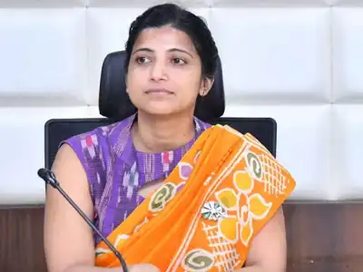 GHMC to Initiate Special Campaign to Curb Chikungunya Cases