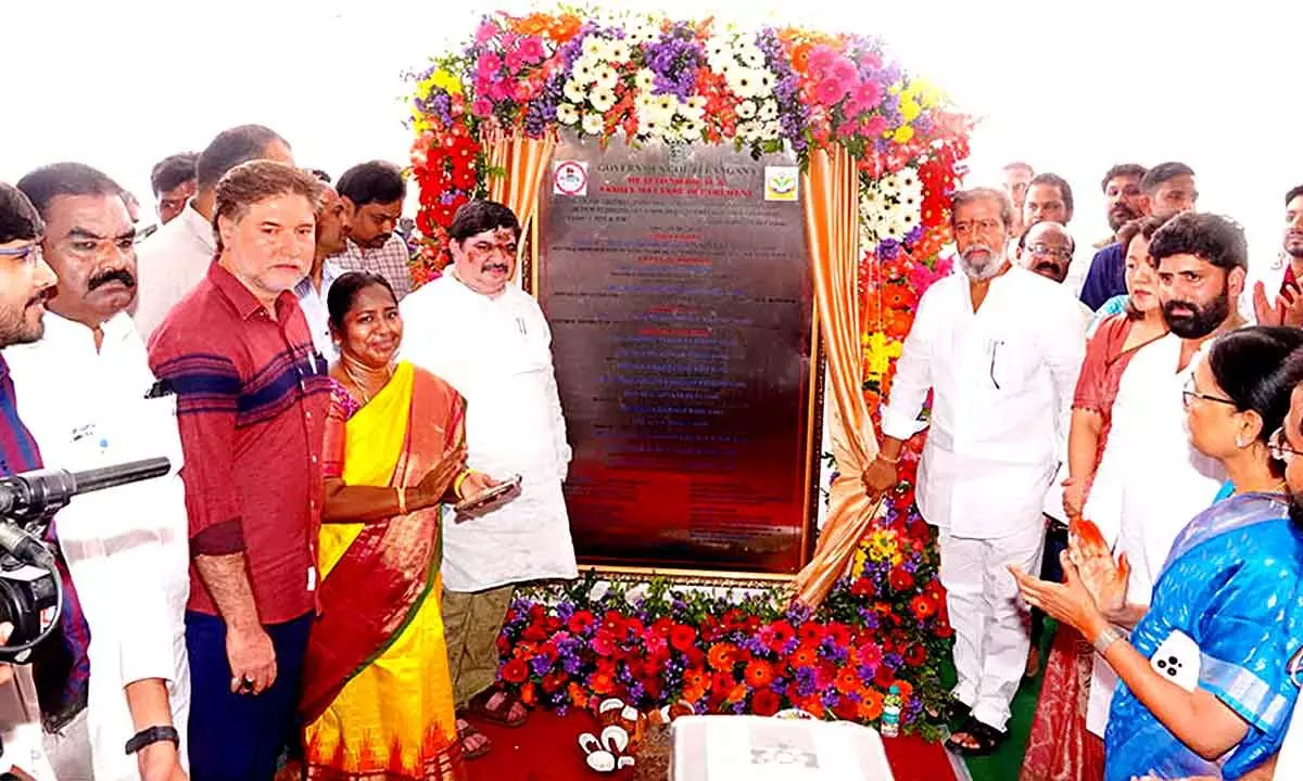 Government to Establish Three Additional IVF Treatment Centers