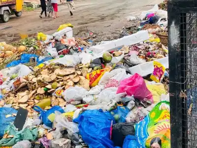 Hyderabad: Inadequate Sanitation in City Contributes to Disease Spread