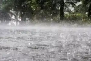 Light to Moderate Rain Expected in Telangana Over the Next Three Days