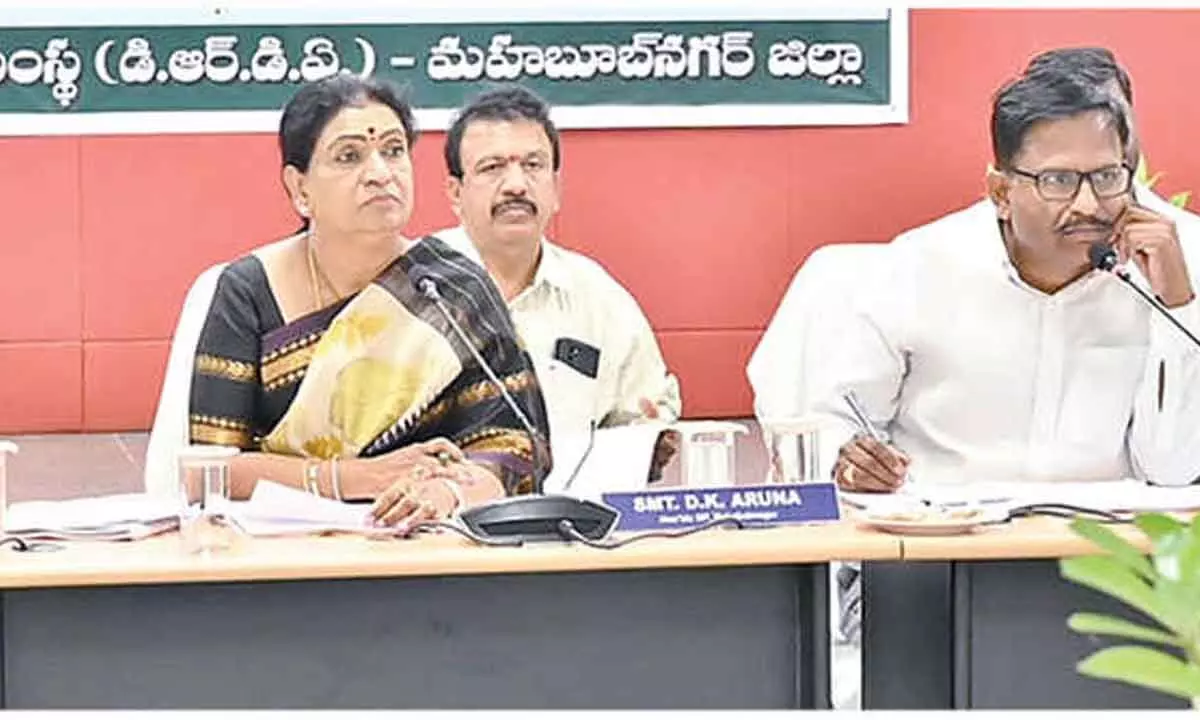 MP Aruna Leads Disha Committee in District Development Planning