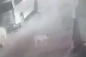 Police Address Dispute Over Meat at Temple
