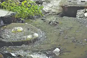 Residents Call for Long-Term Solution to Sewage Overflow