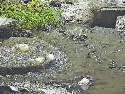 Residents Call for Long-Term Solution to Sewage Overflow