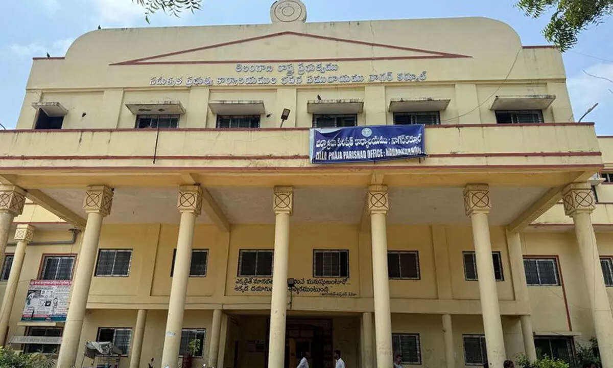 “Venomous Snakes, Pollution, and Rising Anxiety Concerns!”