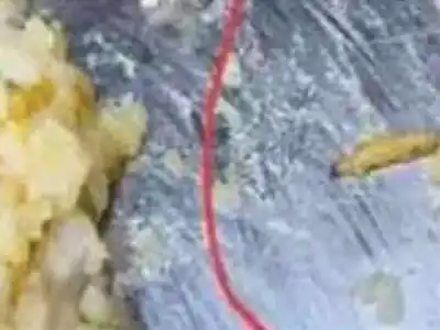 100 students sickened by contaminated food