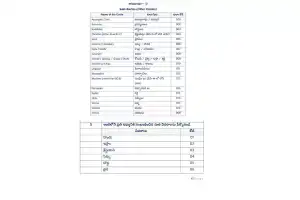 Are Buddhists, Sikhs, and Jains Classified as Castes in Telangana?