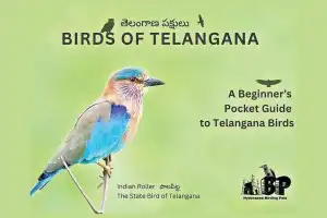 Avian Conservation: Pocket Guide Introduces Students to TG’s Feathered Friends