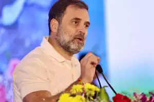 Caste Census Key to Progress: Rahul Gandhi