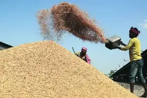 CM Revanth Expresses Frustration Over Issues in Paddy Procurement