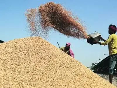 CM Revanth Expresses Frustration Over Issues in Paddy Procurement