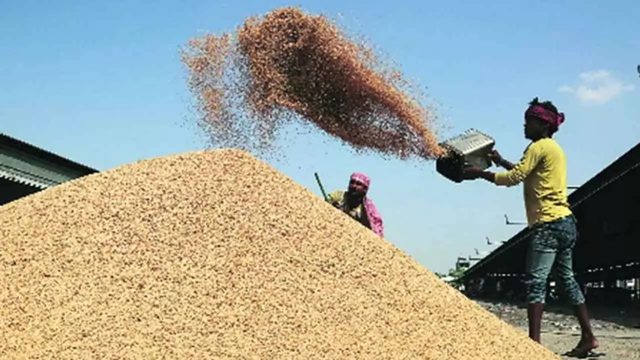 CM Revanth Expresses Frustration Over Issues in Paddy Procurement