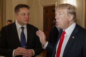 Trump appoints Elon Musk to head newly formed Department of Government Efficiency