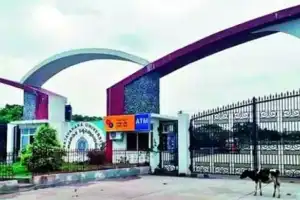 Government neglect leaves students struggling