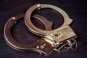Hyderabad: Police Arrest Six for Selling Contaminated Momos