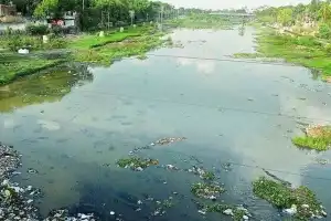 Musi River Following Yamuna’s Path: Toxic Contamination Raises Alarms, Urgent Action Needed