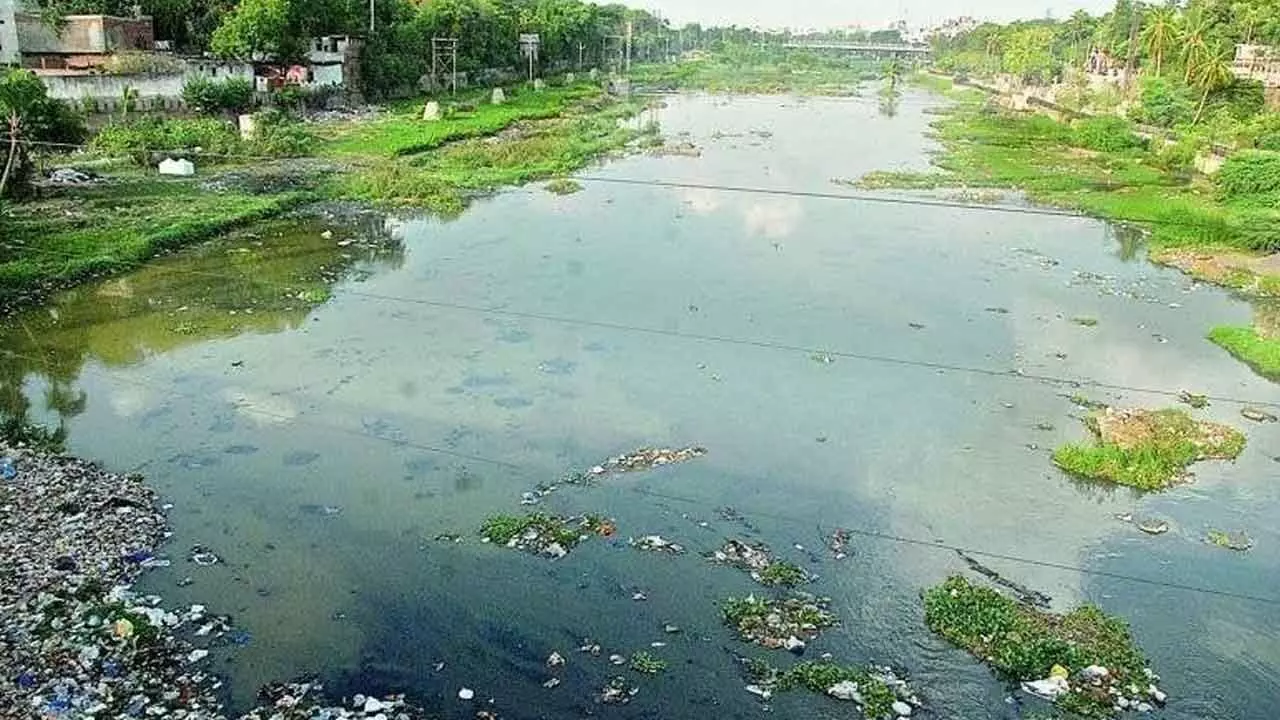 Musi River Following Yamuna’s Path: Toxic Contamination Raises Alarms, Urgent Action Needed