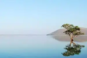 Nexus Select Malls to Undertake Conservation of Two Lakes
