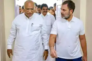 Rahul and Kharge to Lead Caste Census Strategy Following In-Depth Discussions