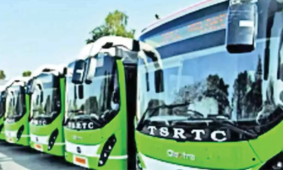 Special Bus Services for Devotees Visiting Shiva Temples