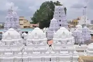 Telangana Earmarks Rs. 127.65 Crore for Vemulawada Rajarajeswara Temple Development