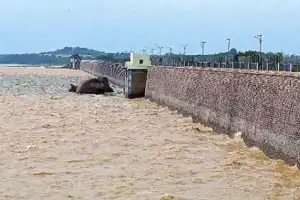Telangana Government Announces Decision on Reservoir Silt Removal