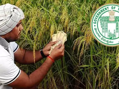 Telangana Government Offers Loan Waiver to 3 Lakh Farmers