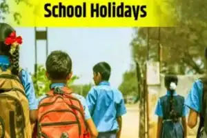 Telangana Schools to Close on November 30 as SFI Calls Bandh Over Food Poisoning Incidents