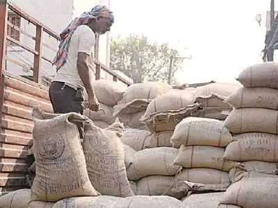 TGCSC Intensifies Crackdown on Black Marketing of PDS Rice