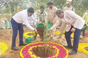 53 trees planted to mark UAE National Day