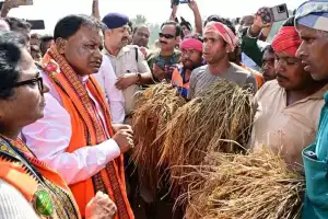 Bhubaneswar: Chief Minister and ministers review crop damage