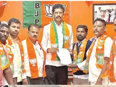 BJP appoints local-level leaders