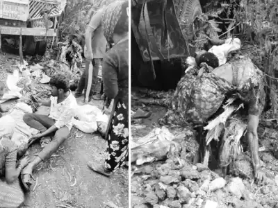Tragic Collision in Chevella: Vendors Killed in Lorry Accident