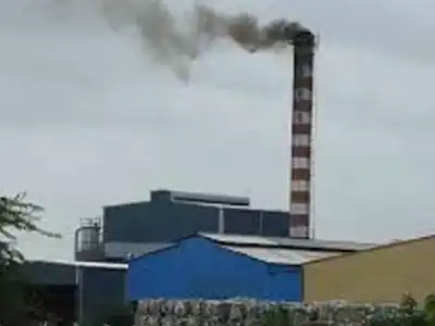 City residents suffering due to industrial pollution