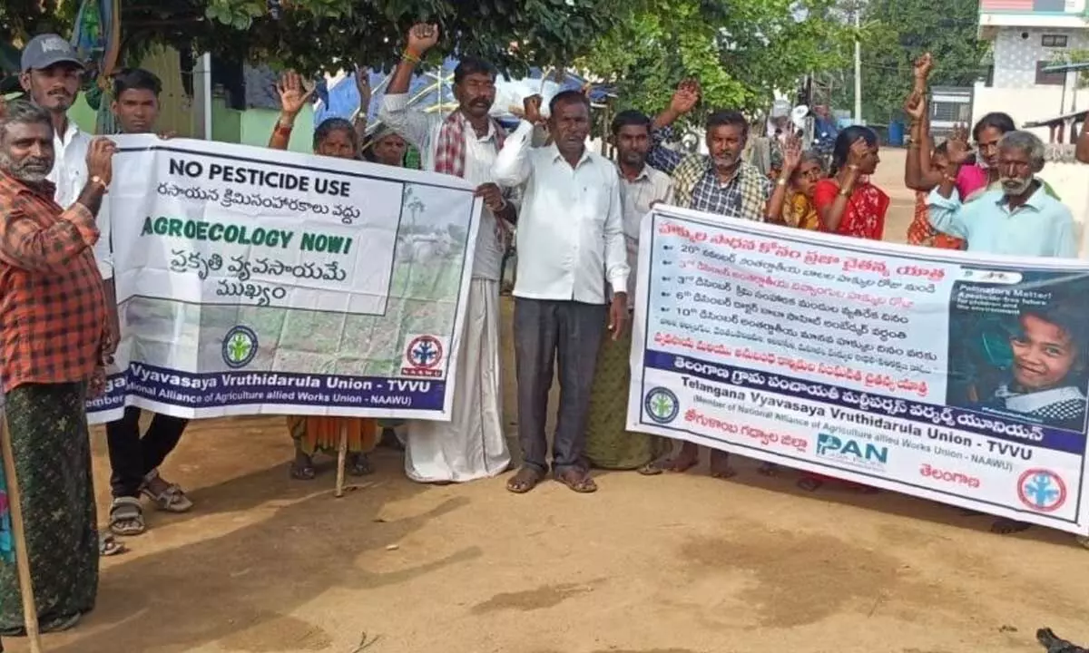 Dalit Women and Human Rights Advocates