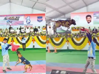 Dog squad captivates crowd at Vijayotsavalu