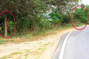 Lack of precautions after accident