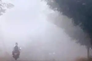 Nagarkurnool: Thick fog covers the district