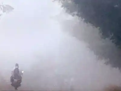 Nagarkurnool: Thick fog covers the district