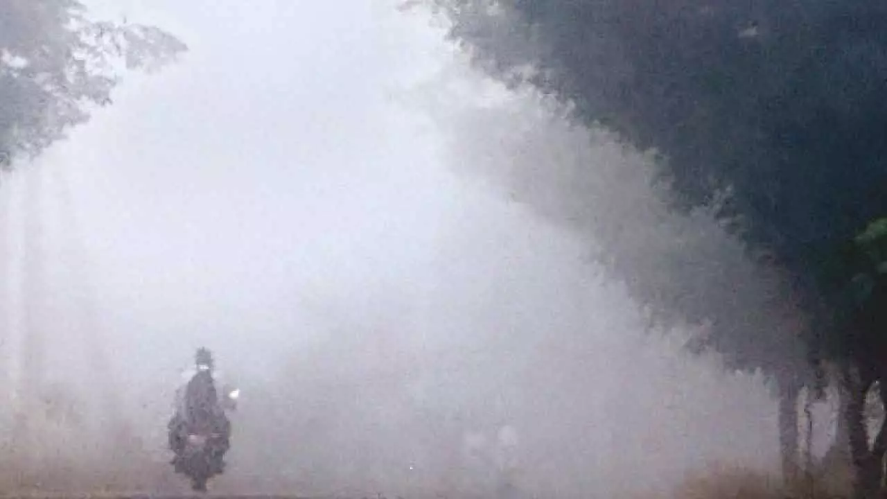 Nagarkurnool: Thick fog covers the district