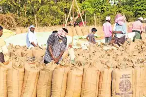 Paddy procurement to be accelerated