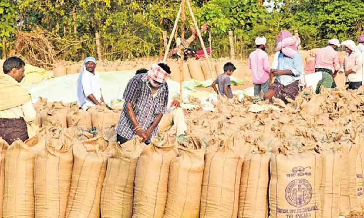 Paddy procurement to be accelerated