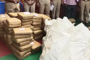 Rachakonda Police Seize Drugs Worth Rs. 88 Crore, Arrest 521