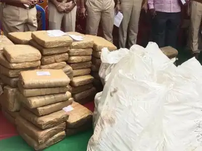 Rachakonda Police Seize Drugs Worth Rs. 88 Crore, Arrest 521