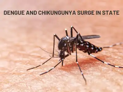 Rise in Dengue and Chikungunya Cases in Telangana