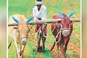 Rythu Bharosa to adopt key features of PM-KISAN scheme