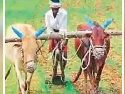 Rythu Bharosa to adopt key features of PM-KISAN scheme