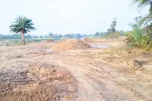 Sand mafia operates openly as tractors damage bitter gourd crops, leaving farmers facing losses