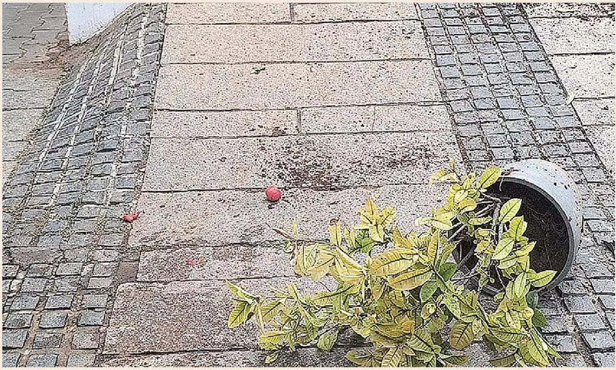 Six arrested after attack on Allu Arjun’s house