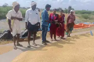 Special Officer Narmada Inspects Paddy Procurement Center in Nadigadda Village